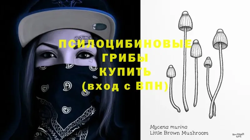 Галлюциногенные грибы MAGIC MUSHROOMS  купить наркотик  Аргун 